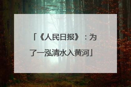 《人民日报》：为了一泓清水入黄河