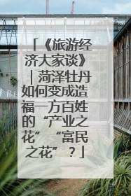 《旅游经济大家谈》｜菏泽牡丹如何变成造福一方百姓的“产业之花”“富民之花”？