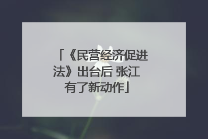 《民营经济促进法》出台后 张江有了新动作