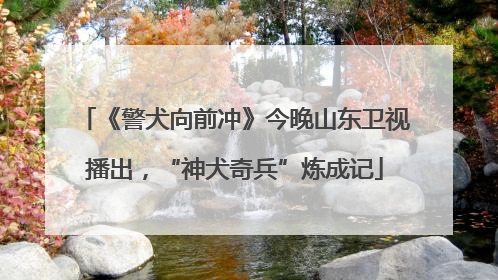 《警犬向前冲》今晚山东卫视播出，“神犬奇兵”炼成记