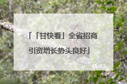 「甘快看」全省招商引资增长势头良好