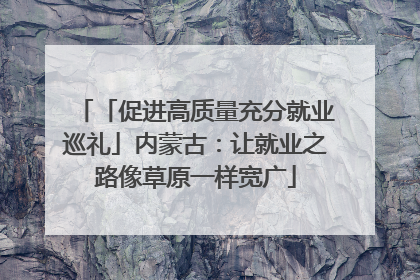 「促进高质量充分就业巡礼」内蒙古：让就业之路像草原一样宽广