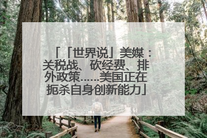 「世界说」美媒：关税战、砍经费、排外政策……美国正在扼杀自身创新能力