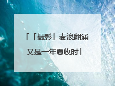 「摄影」麦浪翻涌 又是一年夏收时