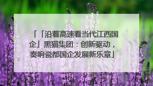 「沿着高速看当代江西国企」黑猫集团：创新驱动，奏响瓷都国企发展新乐章