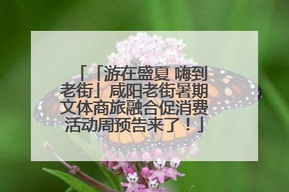 「游在盛夏 嗨到老街」咸阳老街暑期文体商旅融合促消费活动周预告来了！