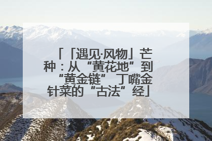 「遇见·风物」芒种：从“黄花地”到“黄金链” 丁嘴金针菜的“古法”经