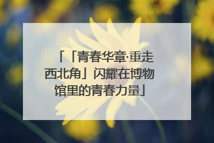 「青春华章·重走西北角」闪耀在博物馆里的青春力量