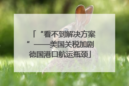 “看不到解决方案”——美国关税加剧德国港口航运瓶颈