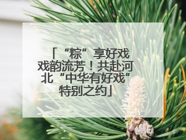 “粽”享好戏 戏韵流芳！共赴河北“中华有好戏”特别之约
