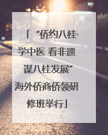 “侨约八桂·学中医 看非遗 谋八桂发展”海外侨商侨领研修班举行