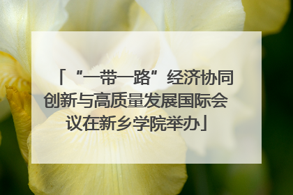 “一带一路”经济协同创新与高质量发展国际会议在新乡学院举办