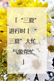 “三夏”进行时丨“三夏”大忙 气象帮忙