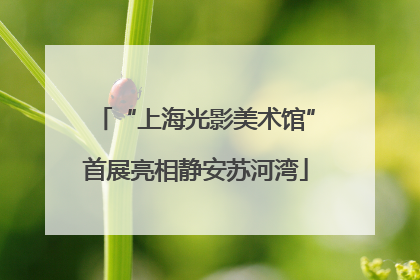 “上海光影美术馆”首展亮相静安苏河湾