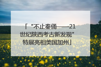 “不止秦俑——21世纪陕西考古新发现”特展亮相美国加州