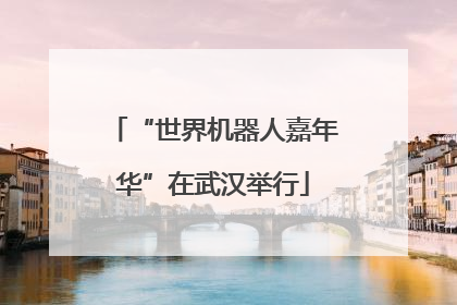 “世界机器人嘉年华”在武汉举行