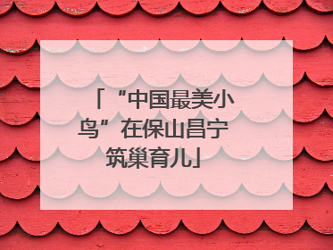 “中国最美小鸟”在保山昌宁筑巢育儿