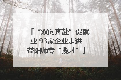 “双向奔赴”促就业 93家企业走进益阳师专“揽才”