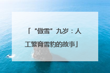 “傲雪”九岁：人工繁育雪豹的故事
