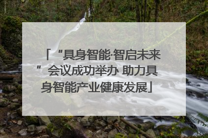 “具身智能·智启未来”会议成功举办 助力具身智能产业健康发展
