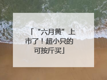 “六月黄”上市了！超小只的可按斤买