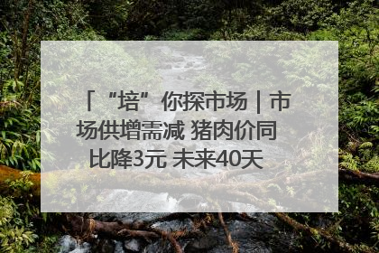 “培”你探市场｜市场供增需减 猪肉价同比降3元 未来40天便宜猪肉敞开吃