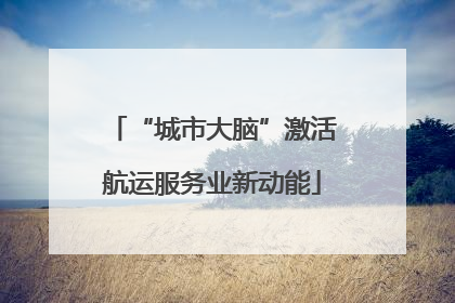 “城市大脑”激活航运服务业新动能