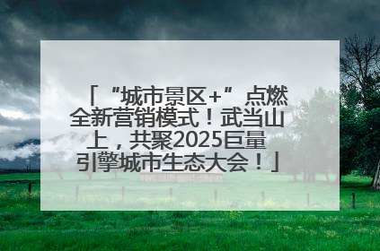 “城市景区+”点燃全新营销模式！武当山上，共聚2025巨量引擎城市生态大会！