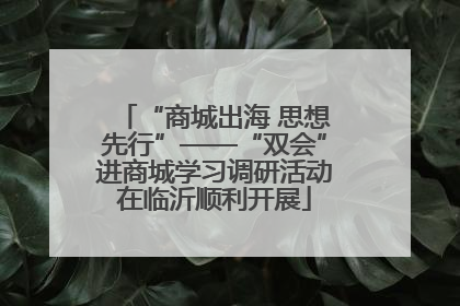 “商城出海 思想先行”——“双会”进商城学习调研活动在临沂顺利开展