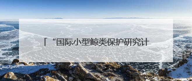 “国际小型鲸类保护研究计划”在汉发布，将向全球推介落地长江江豚保护经验