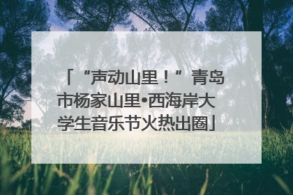 “声动山里！”青岛市杨家山里•西海岸大学生音乐节火热出圈