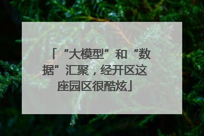 “大模型”和“数据”汇聚，经开区这座园区很酷炫