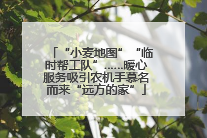 “小麦地图”“临时帮工队”……暖心服务吸引农机手慕名而来“远方的家”