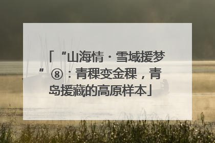 “山海情・雪域援梦”⑧：青稞变金稞，青岛援藏的高原样本