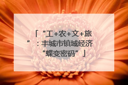 “工+农+文+旅”：丰城市镇域经济“蝶变密码”