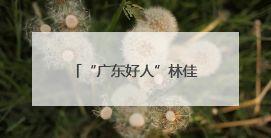 “广东好人”林佳泰：狂风巨浪中勇救落水母女 见义勇为诠释退役军人担当