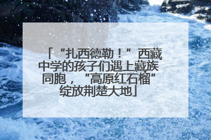 “扎西德勒！”西藏中学的孩子们遇上藏族同胞，“高原红石榴”绽放荆楚大地