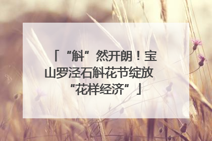 “斛”然开朗！宝山罗泾石斛花节绽放“花样经济”