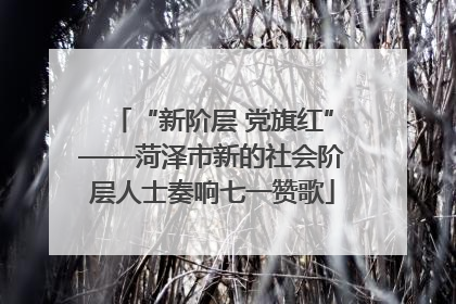 “新阶层 党旗红”——菏泽市新的社会阶层人士奏响七一赞歌