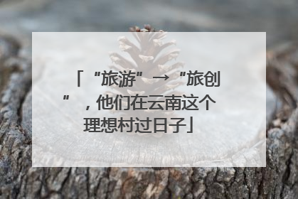 “旅游”→“旅创”，他们在云南这个理想村过日子
