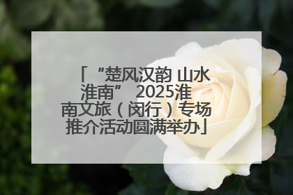 “楚风汉韵 山水淮南” 2025淮南文旅（闵行）专场推介活动圆满举办