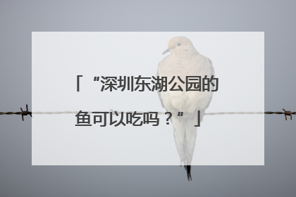“深圳东湖公园的鱼可以吃吗？”
