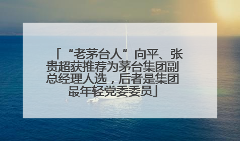 “老茅台人”向平、张贵超获推荐为茅台集团副总经理人选，后者是集团最年轻党委委员