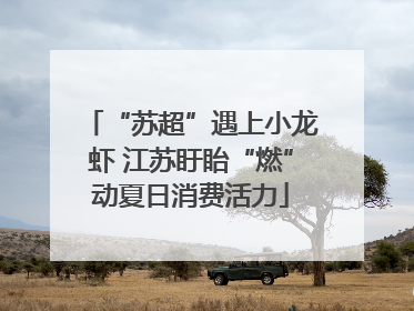 “苏超”遇上小龙虾 江苏盱眙“燃”动夏日消费活力