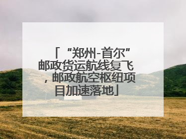 “郑州-首尔”邮政货运航线复飞，邮政航空枢纽项目加速落地