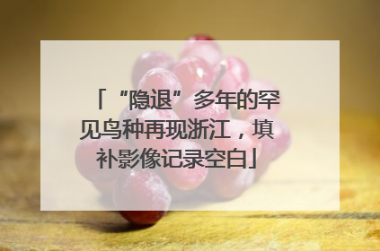 “隐退”多年的罕见鸟种再现浙江，填补影像记录空白