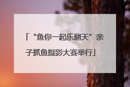 “鱼你一起乐翻天”亲子抓鱼摄影大赛举行