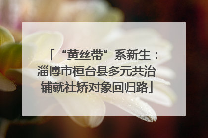 “黄丝带”系新生：淄博市桓台县多元共治铺就社矫对象回归路