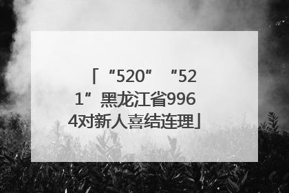 “520”“521”黑龙江省9964对新人喜结连理