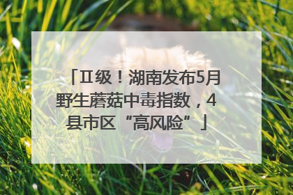 Ⅱ级！湖南发布5月野生蘑菇中毒指数，4县市区“高风险”